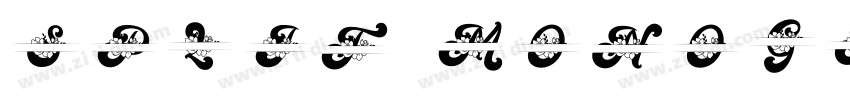 Split Monogram字体转换 Split Monogram字体转换